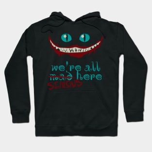 We're all serious here Hoodie